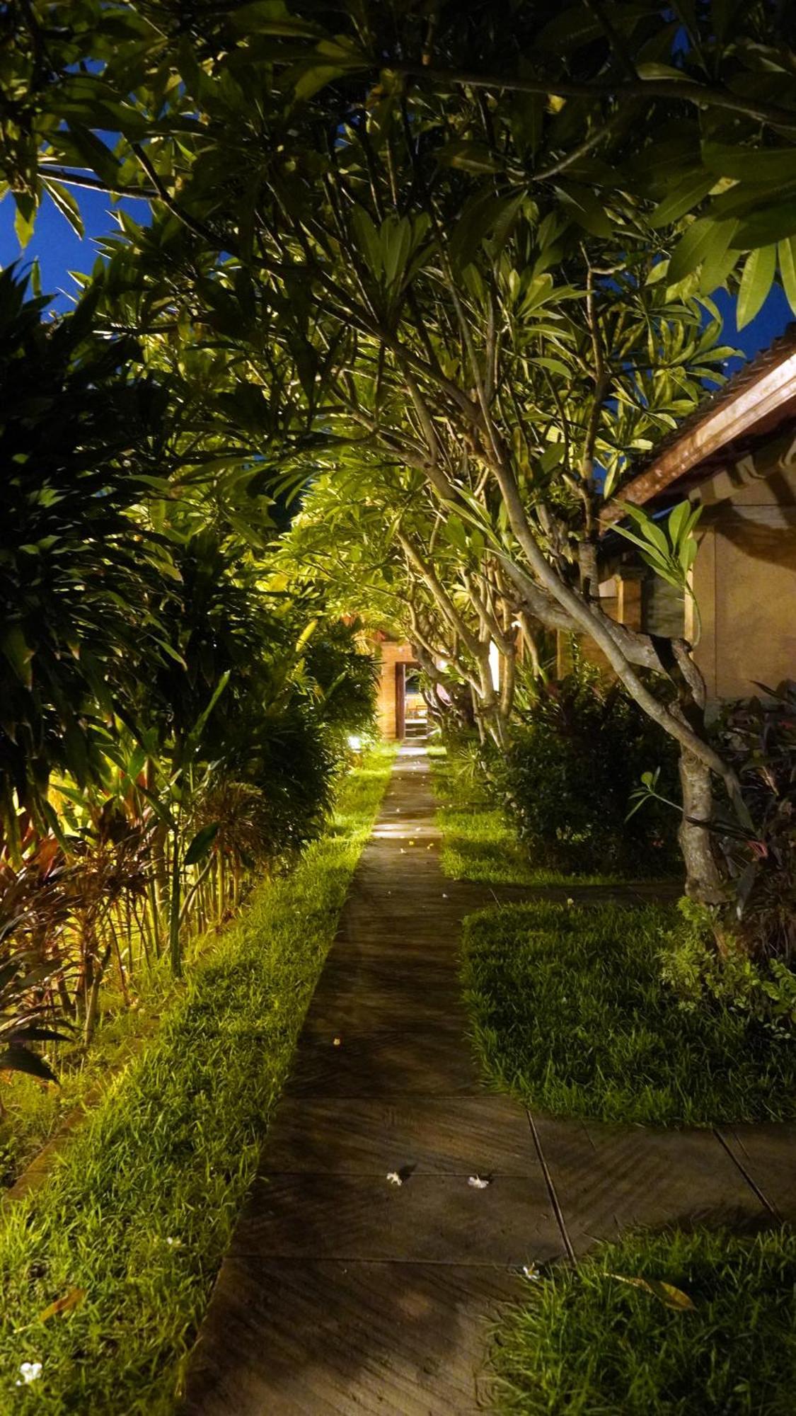 Oma In Pemuteran Bali Lägenhet Exteriör bild